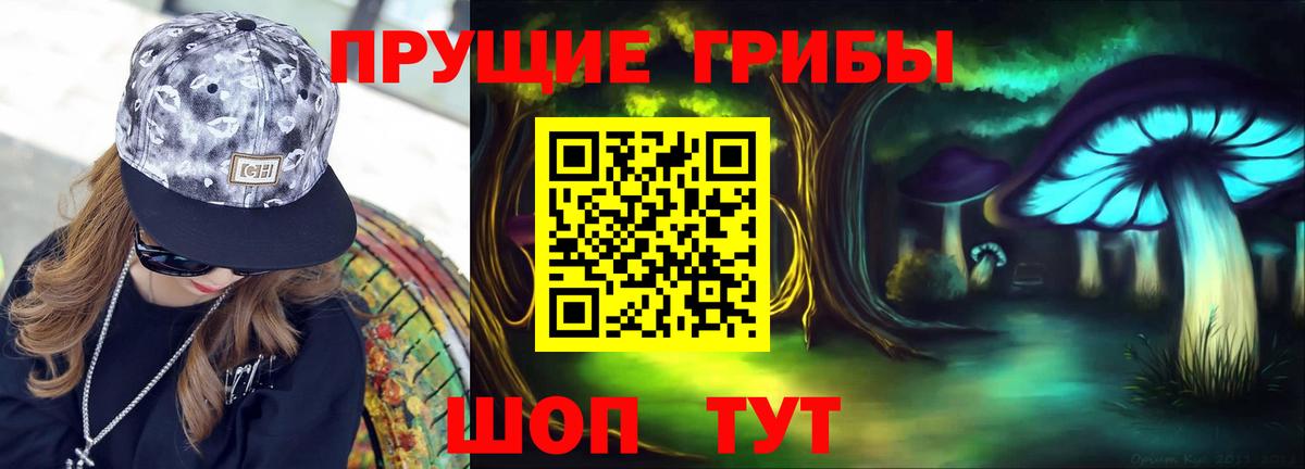 Галлюциногенные грибы Magic Shrooms  Вход с VPN  Северобайкальск 