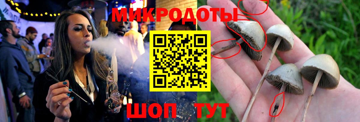 Псилоцибиновые грибы прущие грибы Северобайкальск